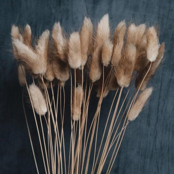 Bunny Tails