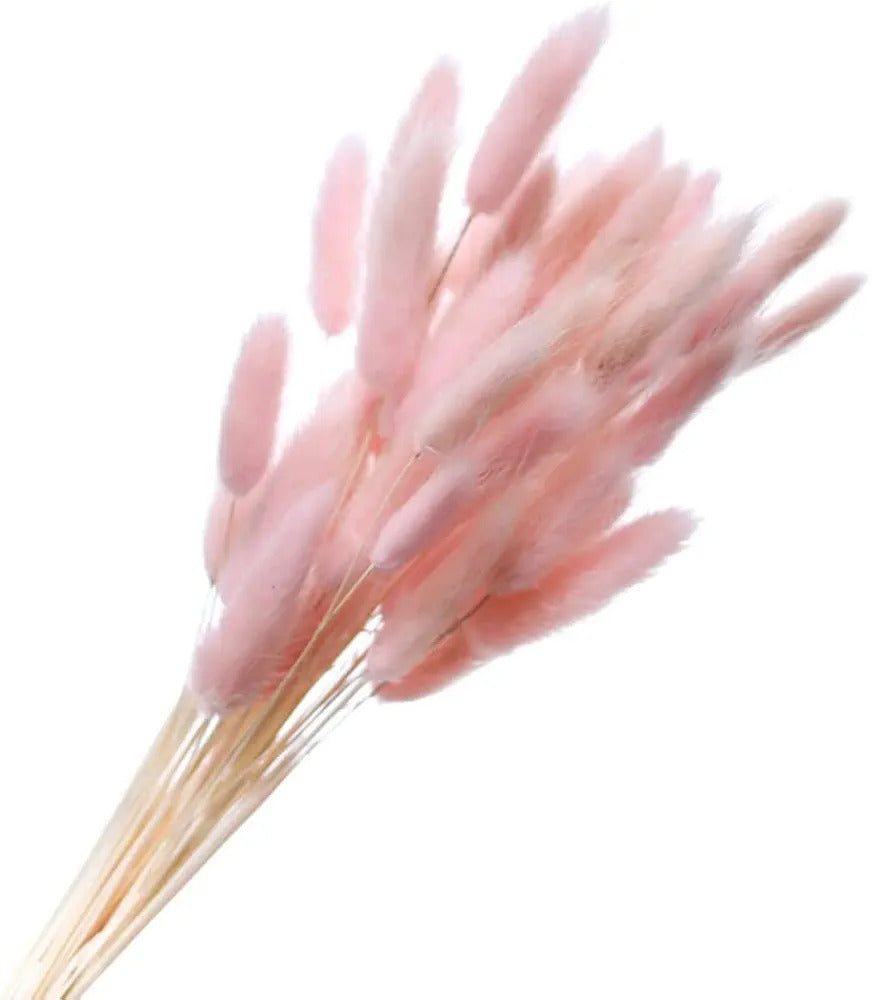 Bunny Tails