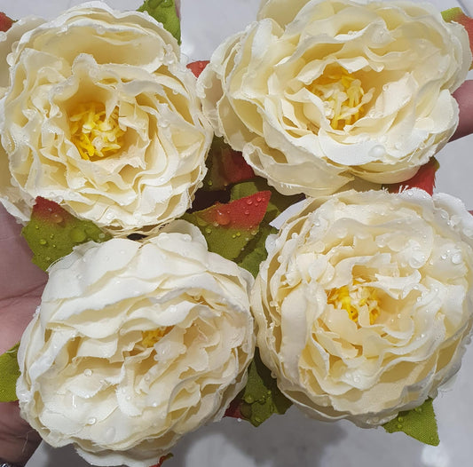 Flower Big Peony Cream