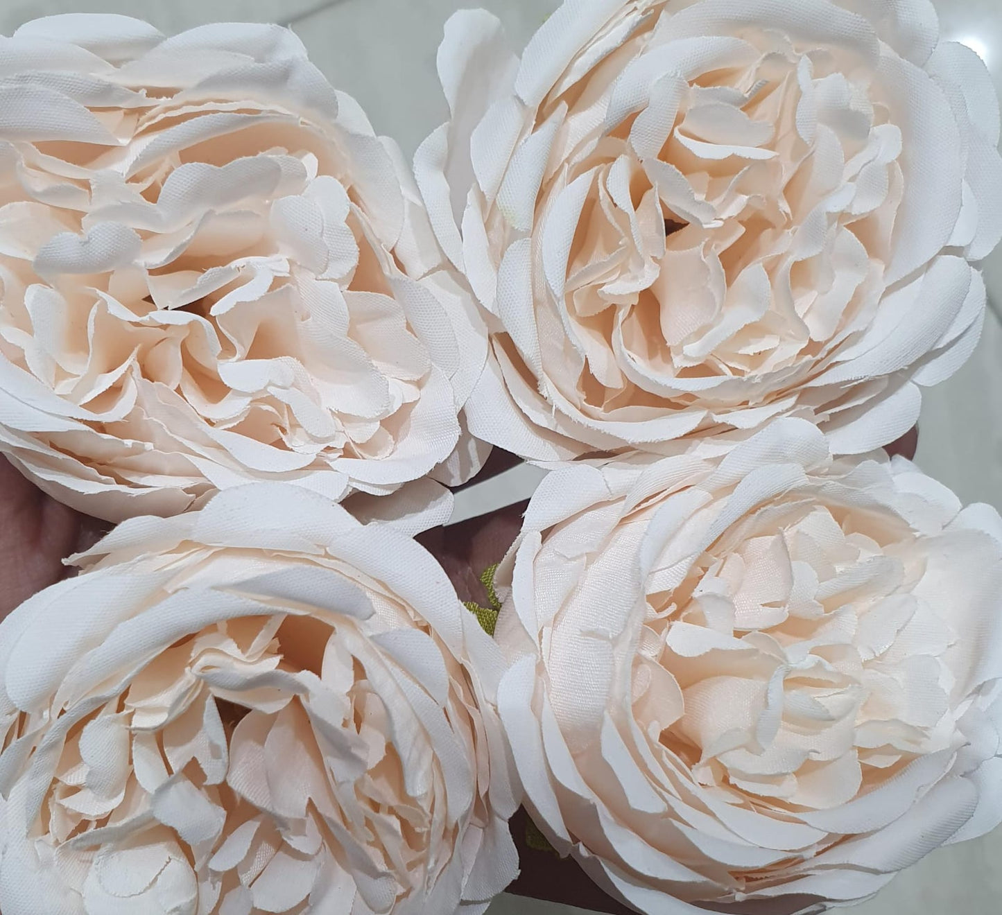 Flower Peony White