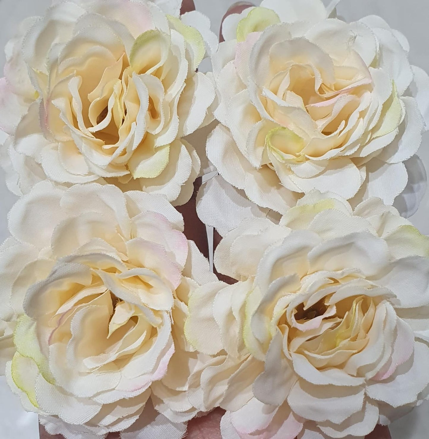 Flower Peony White Rose