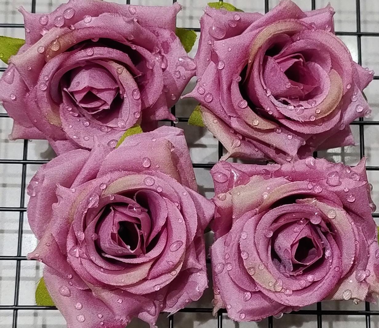 Flower Rose Red With Droplets