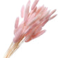 Bunny Tails